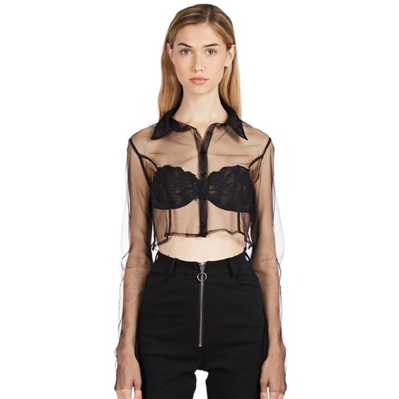 Danielle Guizio Tops - Black Sheer Danielle Guizio Crop Top